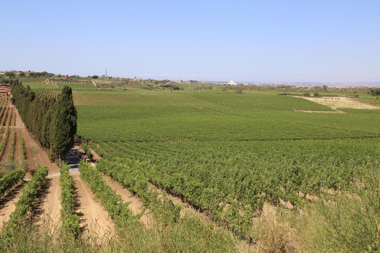 Tenuta Di Pietra Porzia Monte Porzio Catone Eksteriør bilde