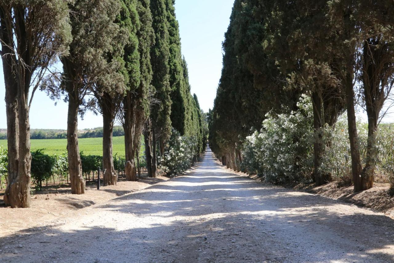 Tenuta Di Pietra Porzia Monte Porzio Catone Eksteriør bilde
