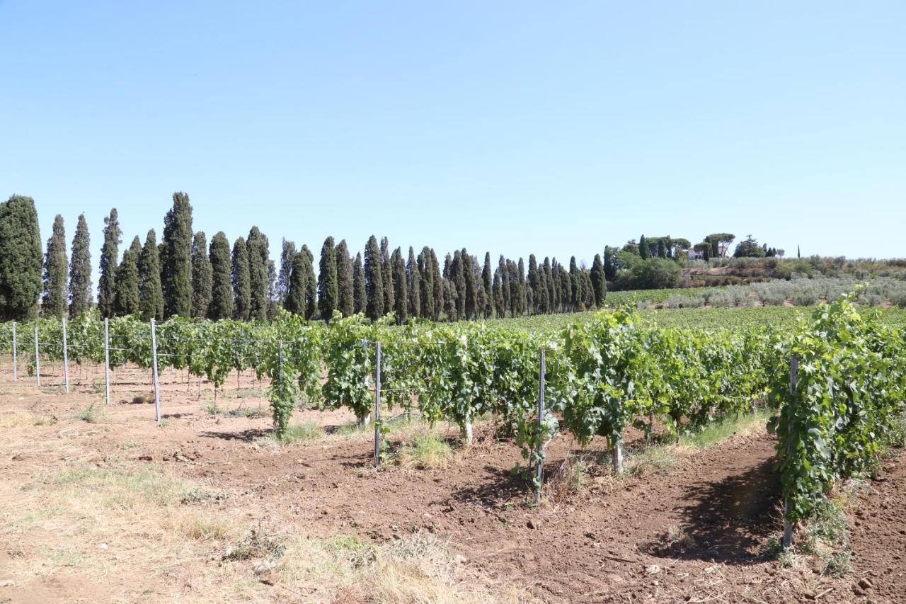 Tenuta Di Pietra Porzia Monte Porzio Catone Eksteriør bilde